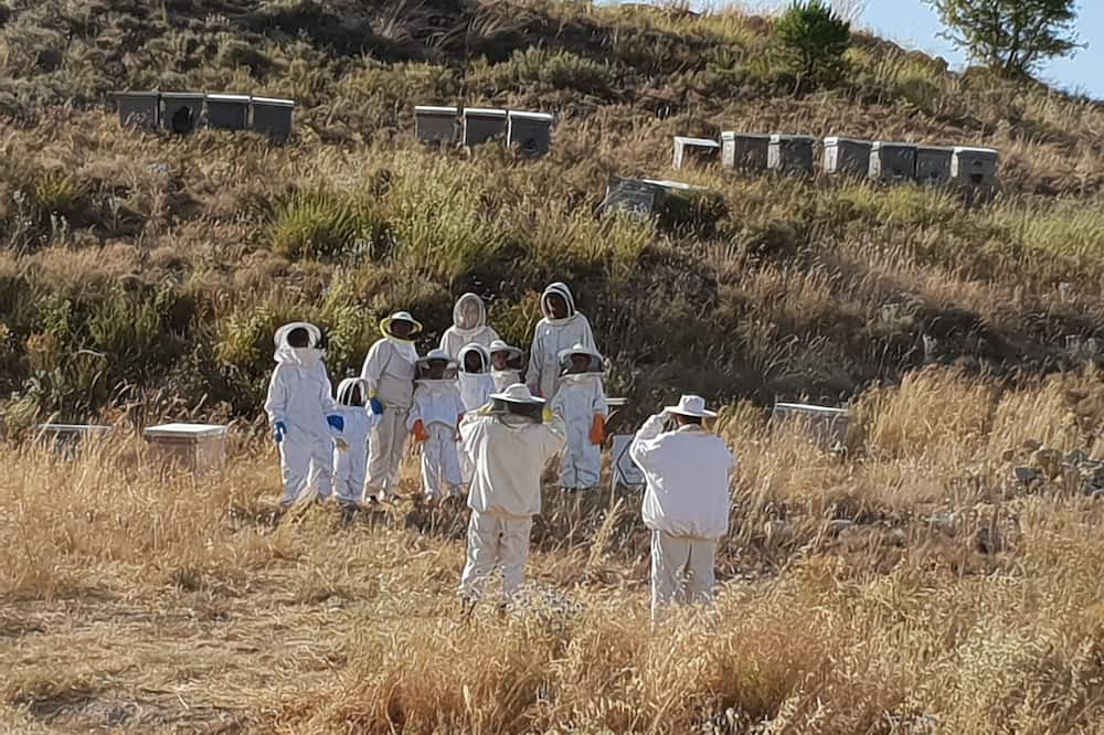 Photo of Others in Rozalen del Monte