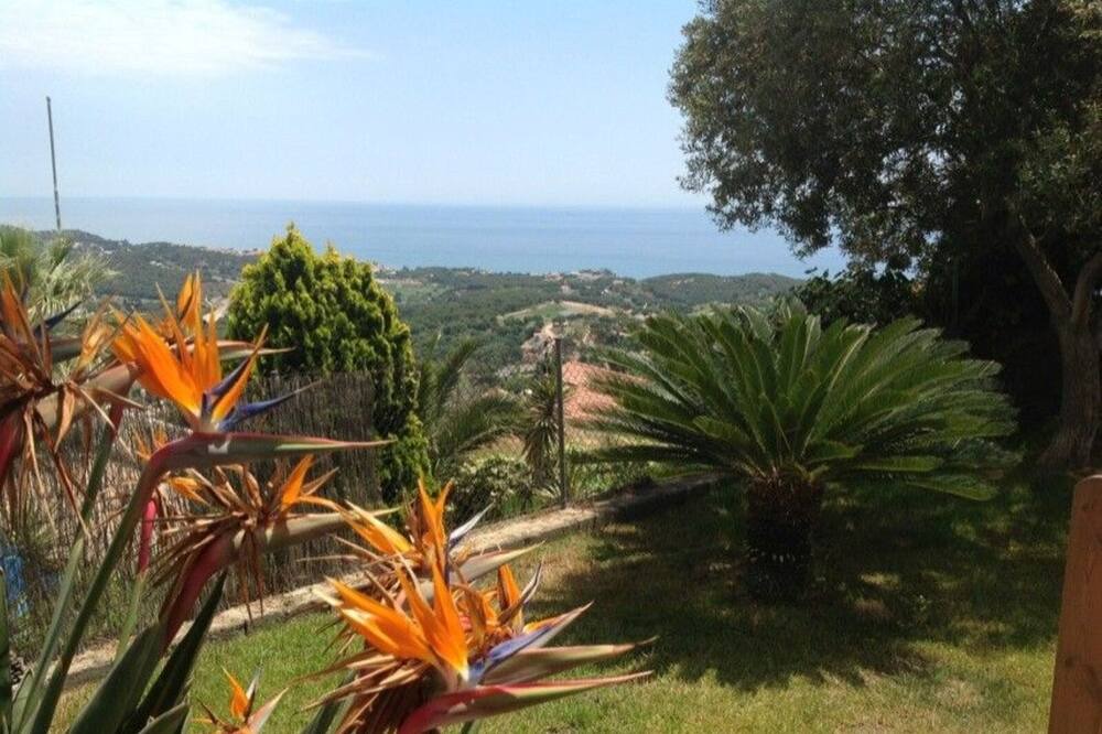 Photo of Outdoor in Canet de Mar