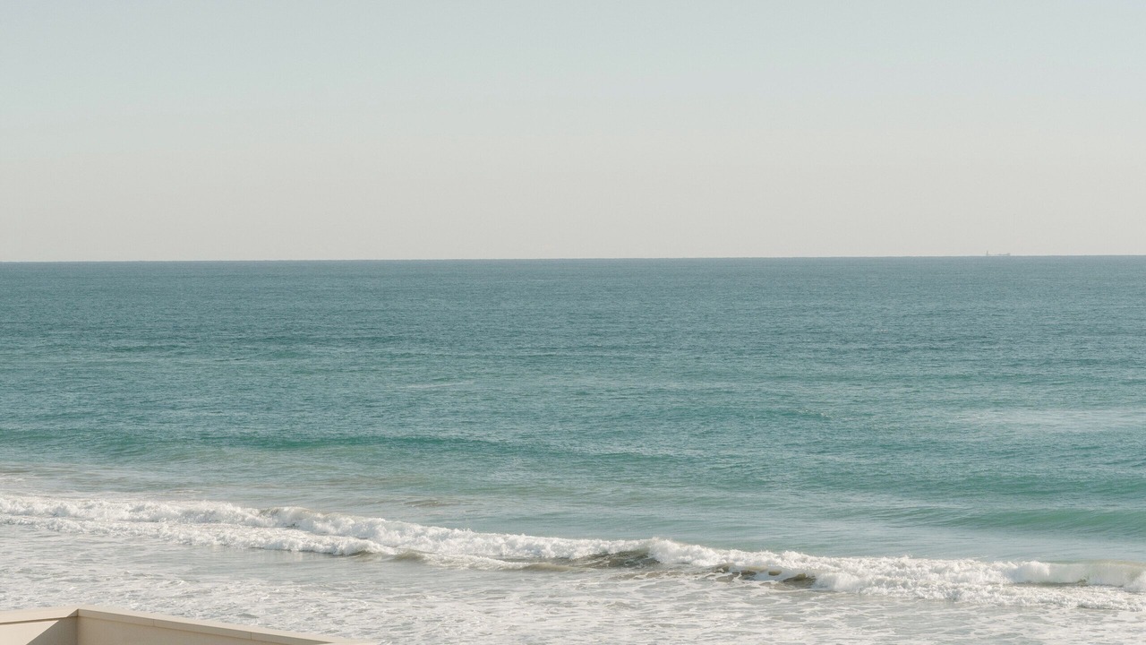 Photo of Others in Gava