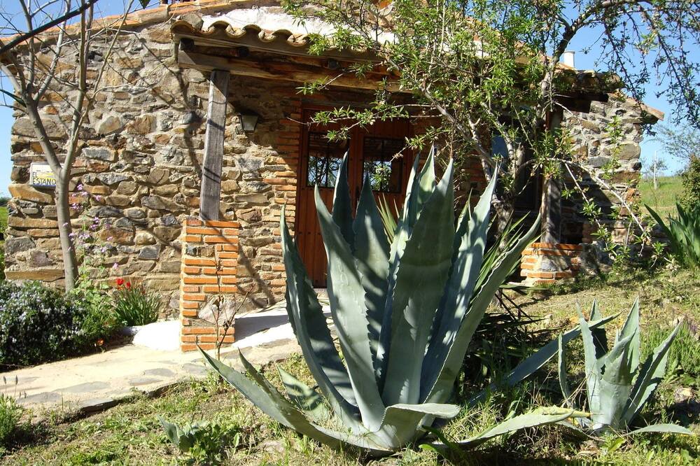 Photo of Outdoor in La Acena de la Borrega