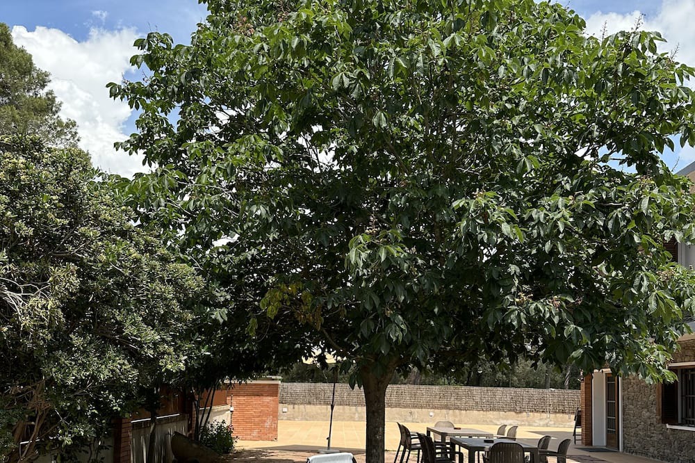 Photo of Outdoor in Palau-solita i Plegamans