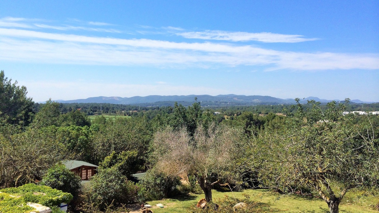 Photo of Others in Santa Gertrudis