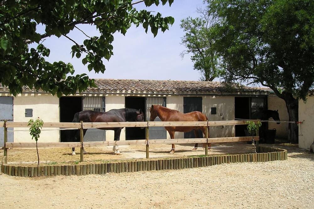 Photo of Others in Villarrobledo