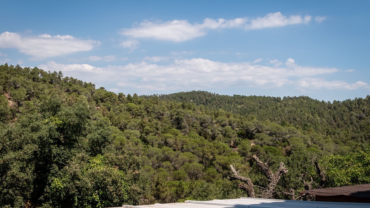 Photo of Bedroom in Lloret de Mar