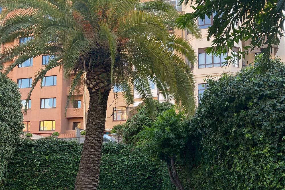 Photo of Outdoor in la Vila de Gracia