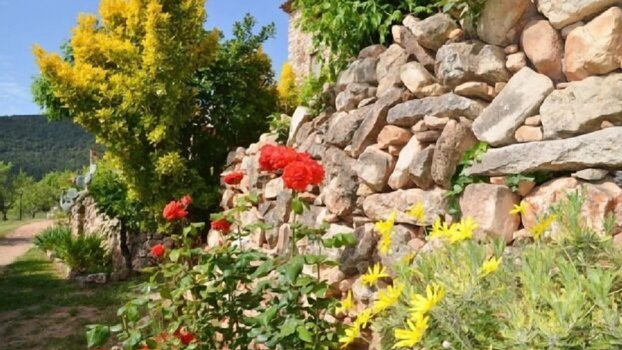 Photo of Outdoor in Alcover
