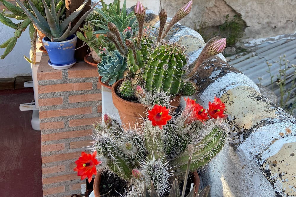 Photo of Outdoor in Campo de Criptana