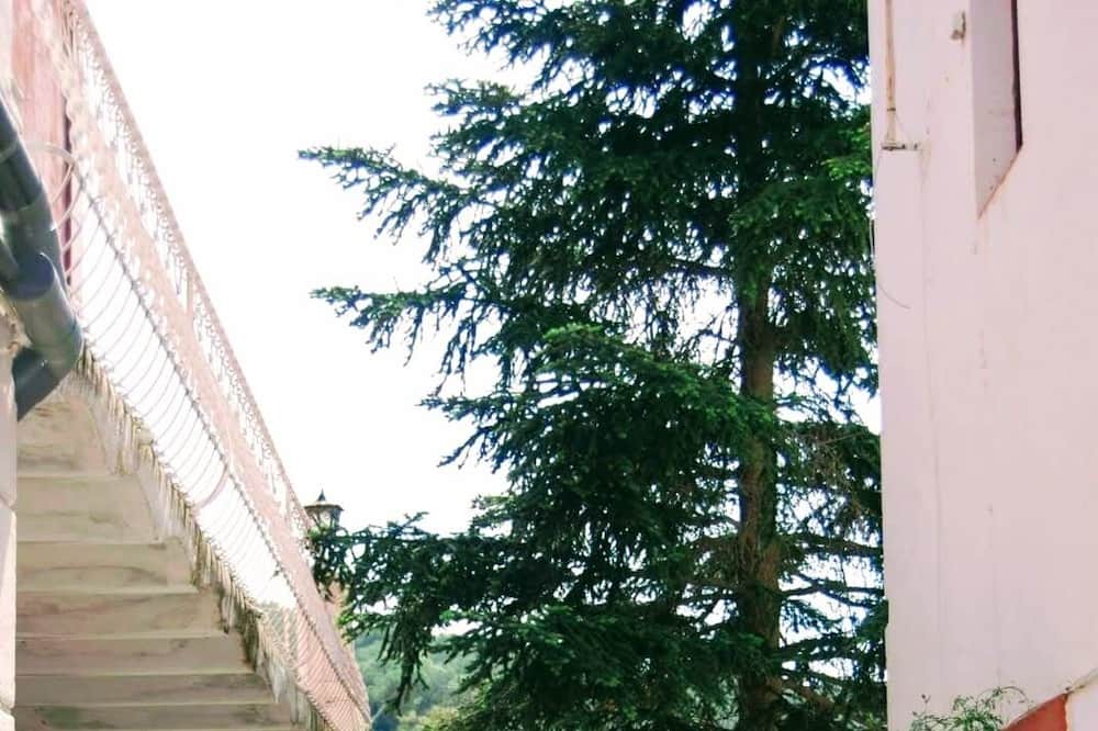 Photo of Outdoor in Sant Cebria de Vallalta