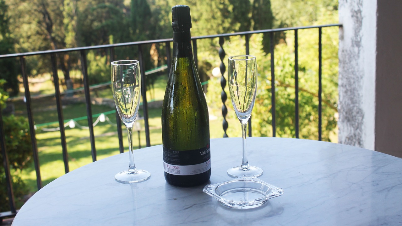 Photo of Patio Balcony in Sant Marti de Centelles