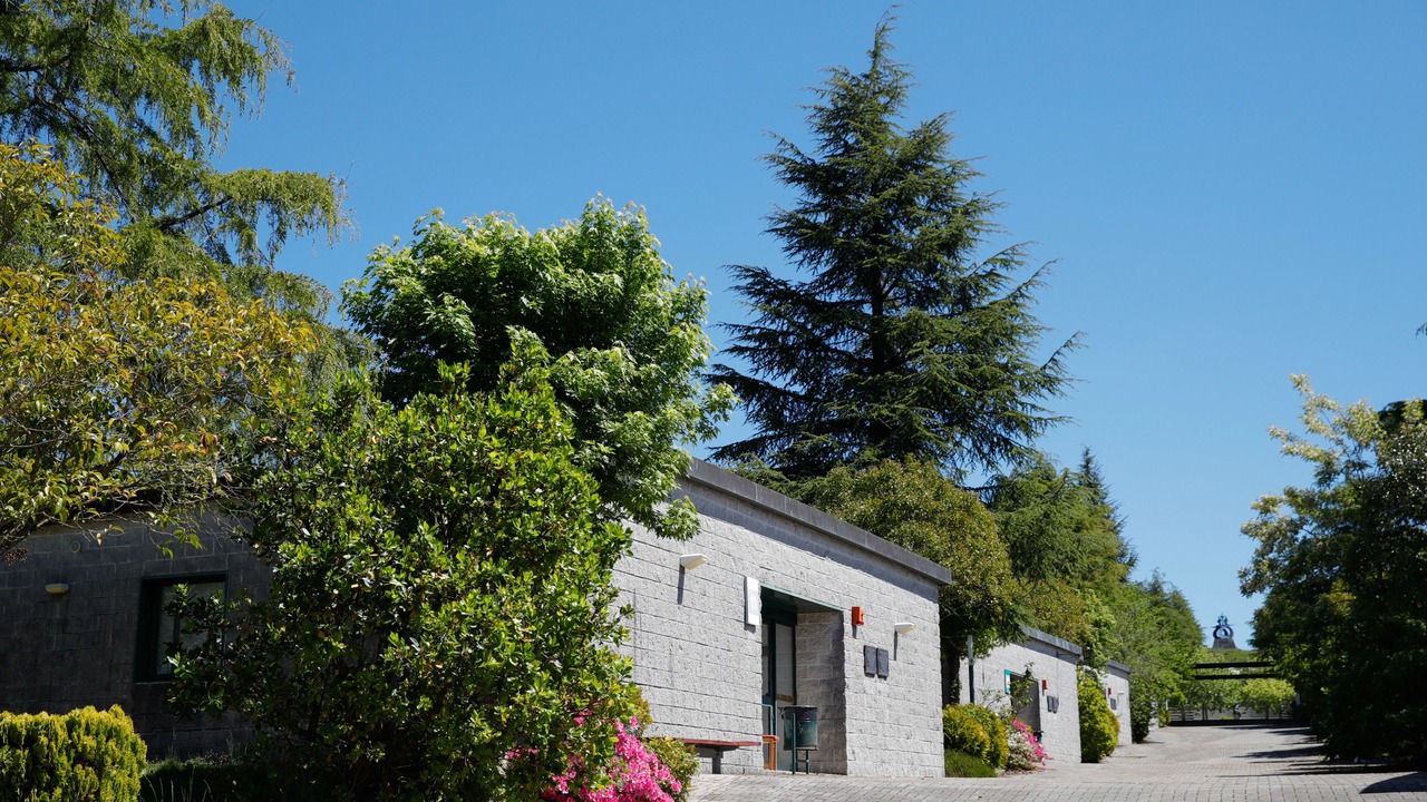 Photo of Outdoor in Santiago de Compostela