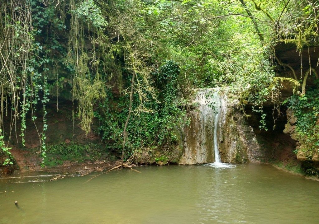 Photo of Outdoor in Figaro-Montmany