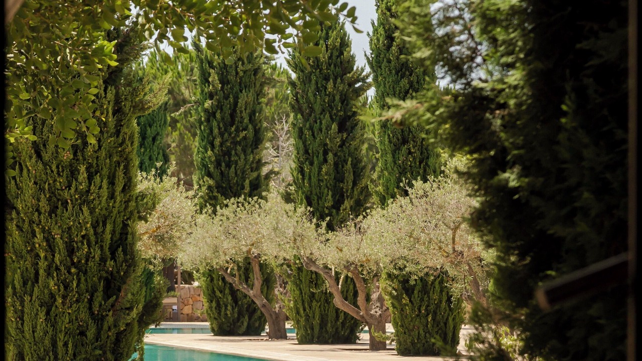 Photo of Bedroom in Sant Miquel de Balasant