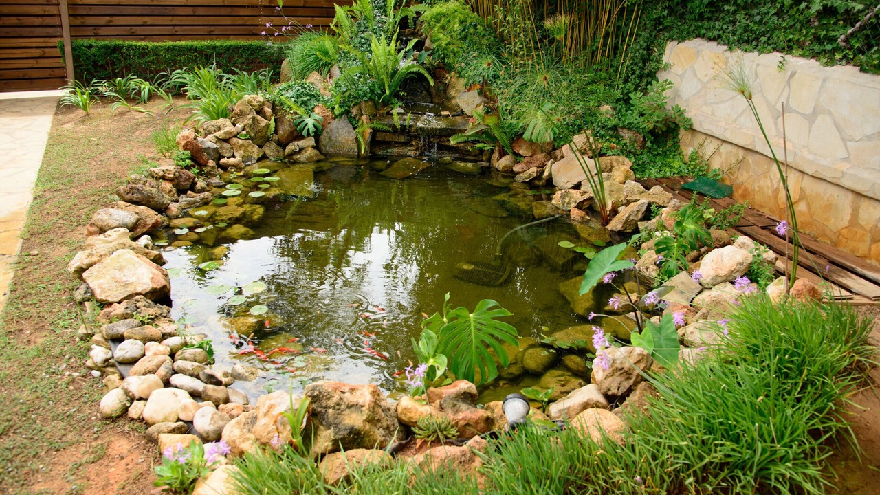 Photo of Outdoor in Cala de Bou