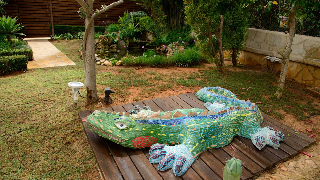 Photo of Outdoor in Cala de Bou