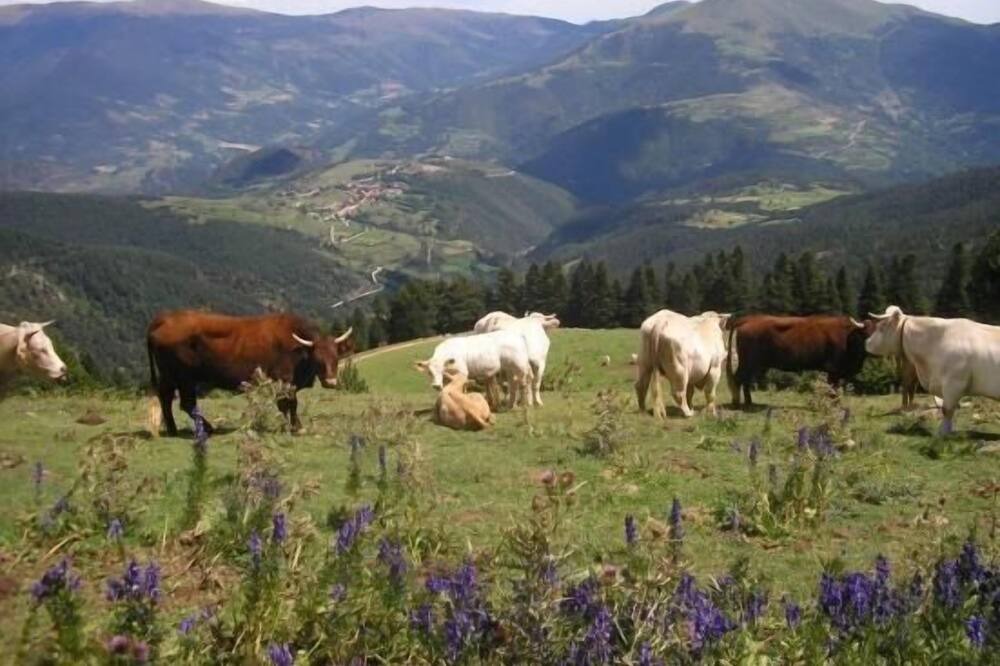Photo of Outdoor in Campelles