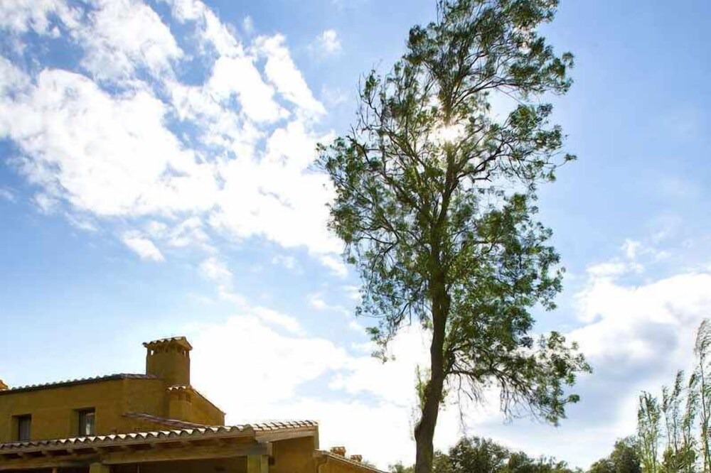 Photo of Outdoor in Sant Andreu Salou