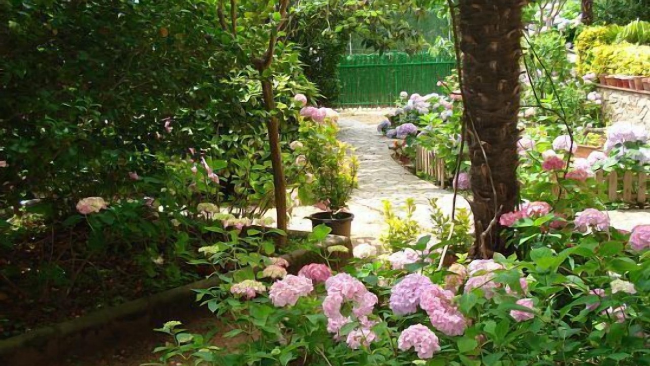 Photo of Outdoor in Arbucies