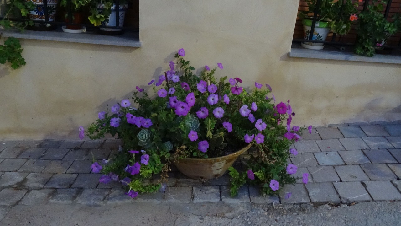 Photo of Outdoor in Requena