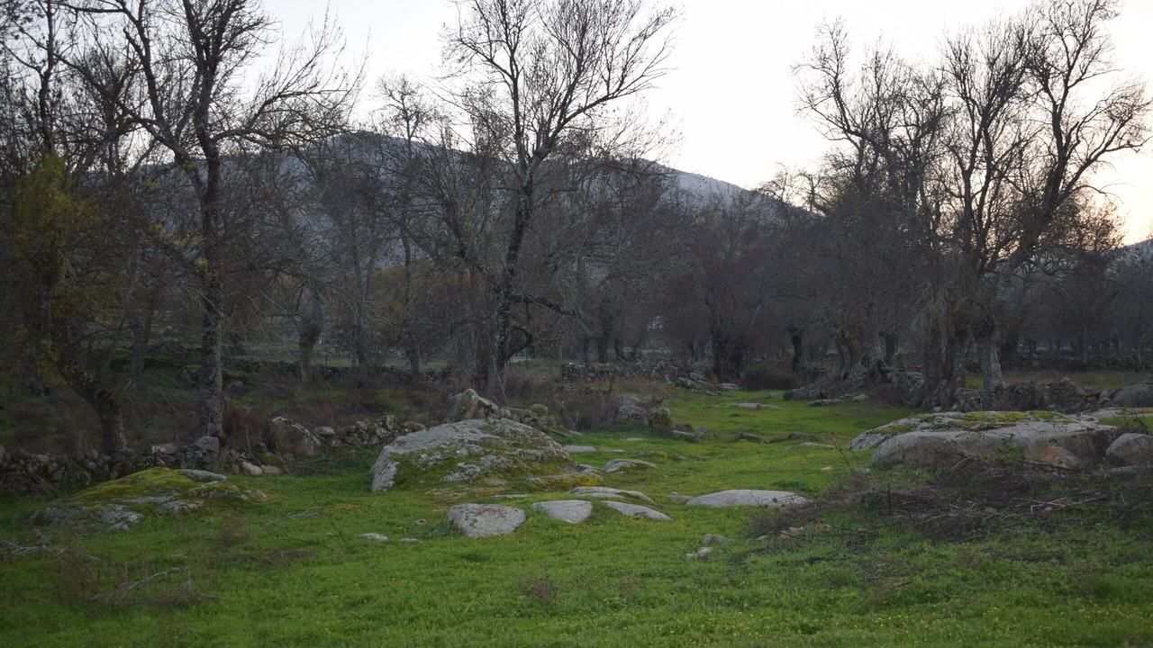 Photo of Outdoor in Menasalbas