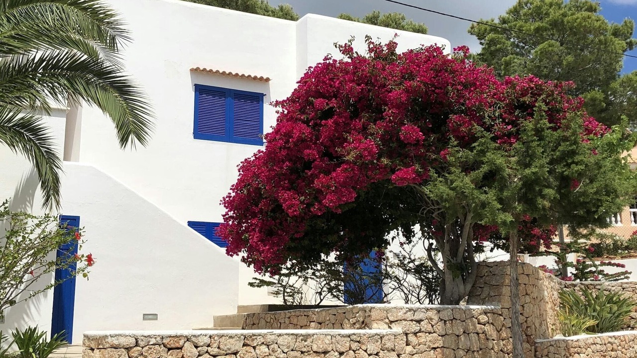 Photo of Outdoor in Cala Vadella