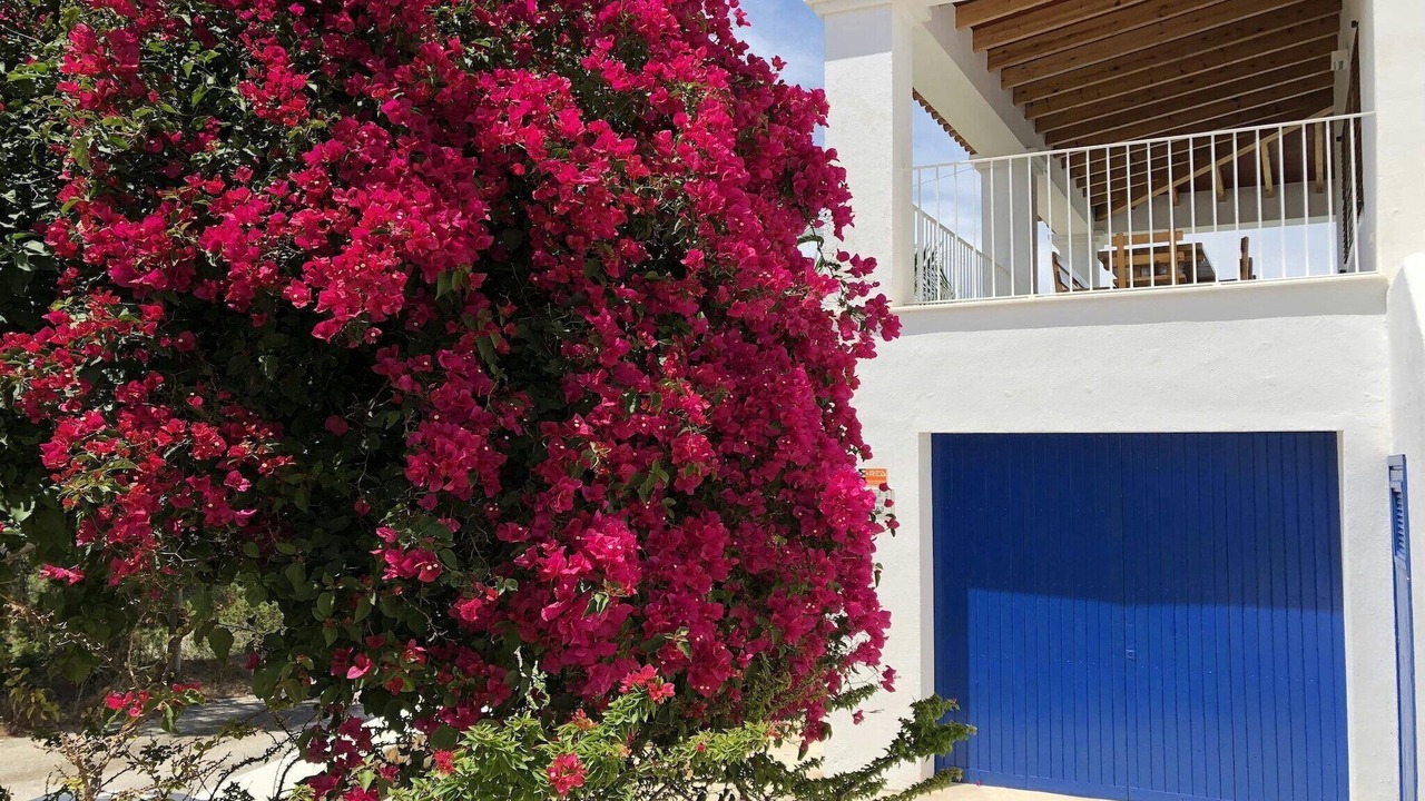 Photo of Outdoor in Cala Vadella