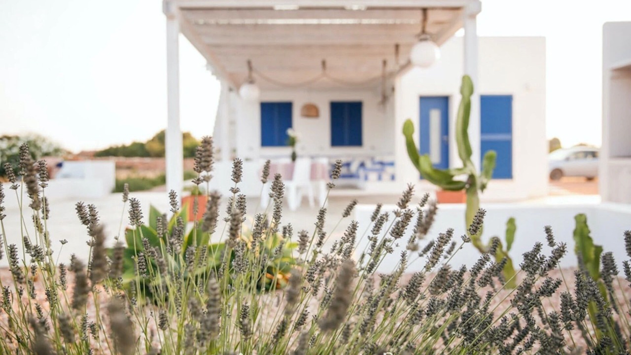 Photo of Outdoor in Formentera