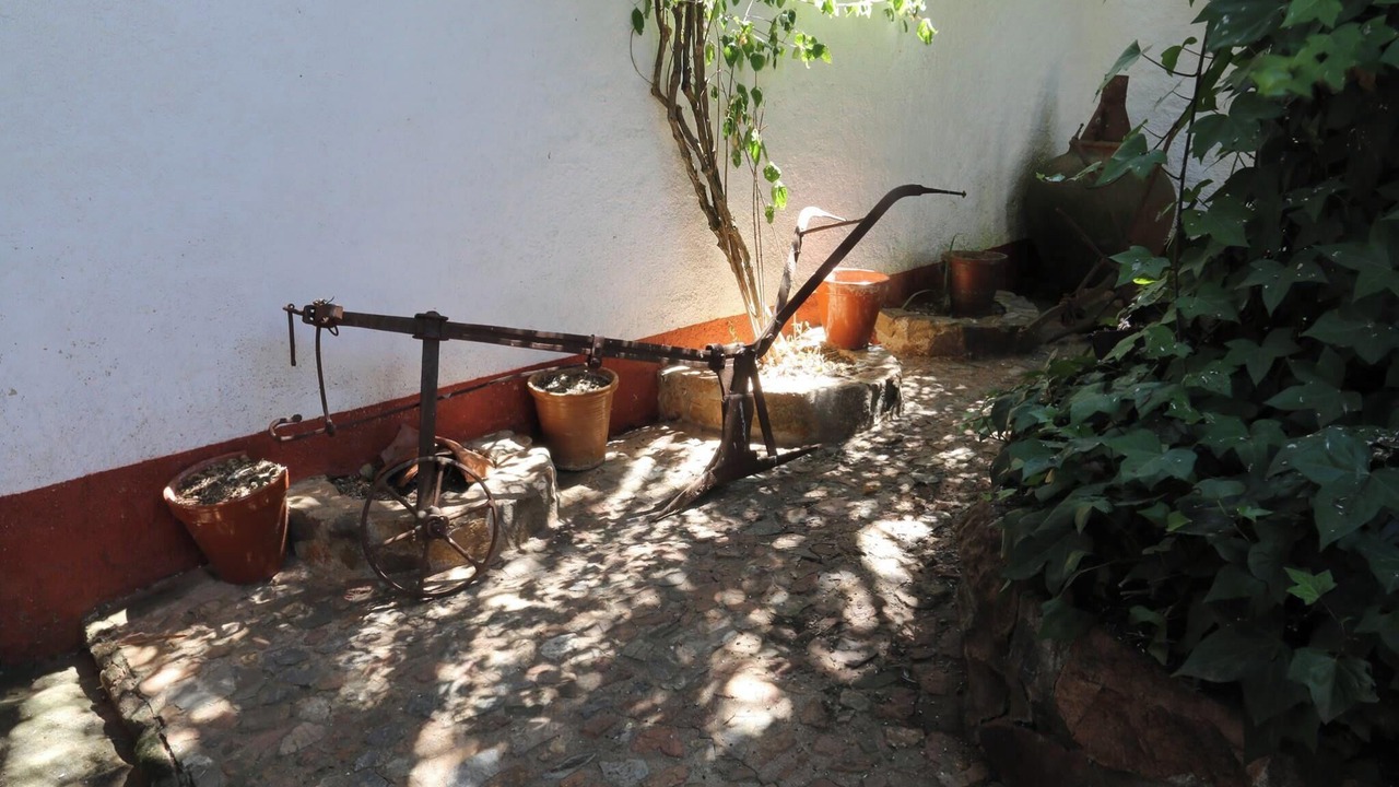 Photo of Others in Fuente Obejuna