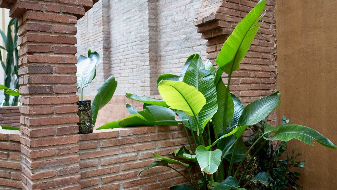 Photo of Outdoor in Sant Gervasi