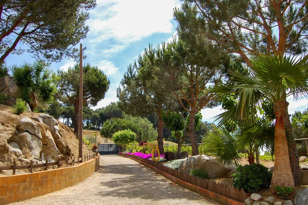 Photo of Outdoor in Pineda de Mar