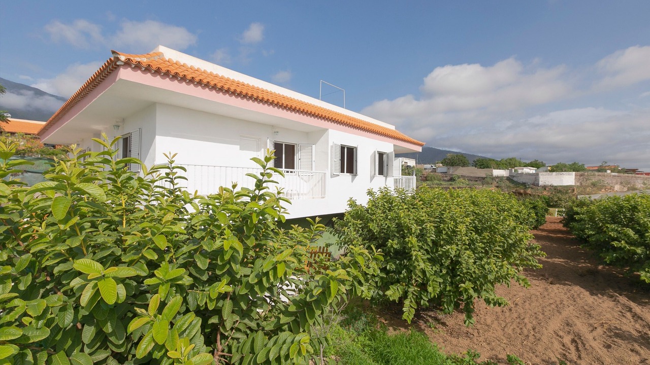 Photo of Outdoor in Guimar