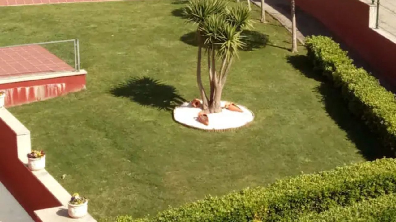 Photo of Outdoor in Portonovo