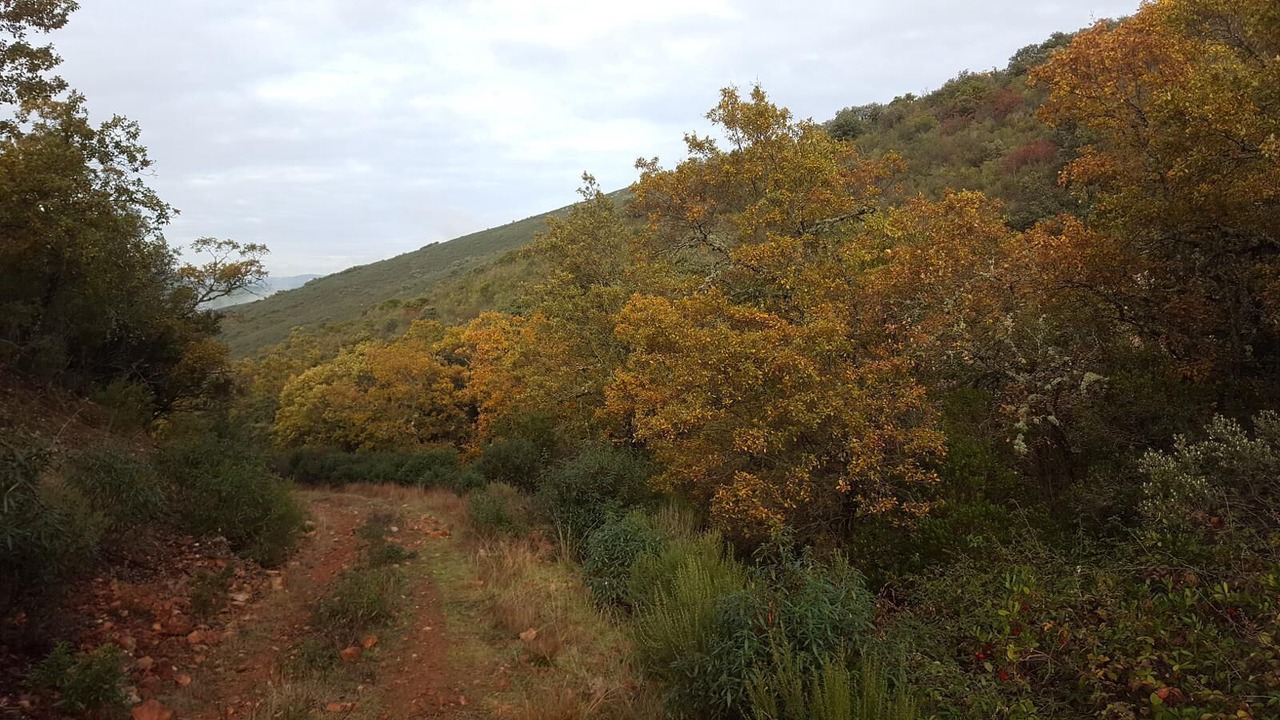 Photo of Outdoor in El Cristo del Espiritu Santo