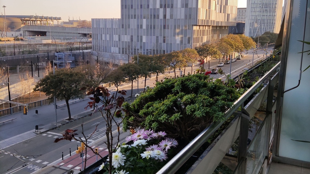 Photo of Outdoor in Barcelona