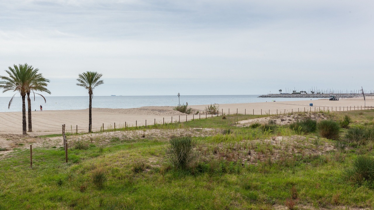 Photo of Others in Mataro