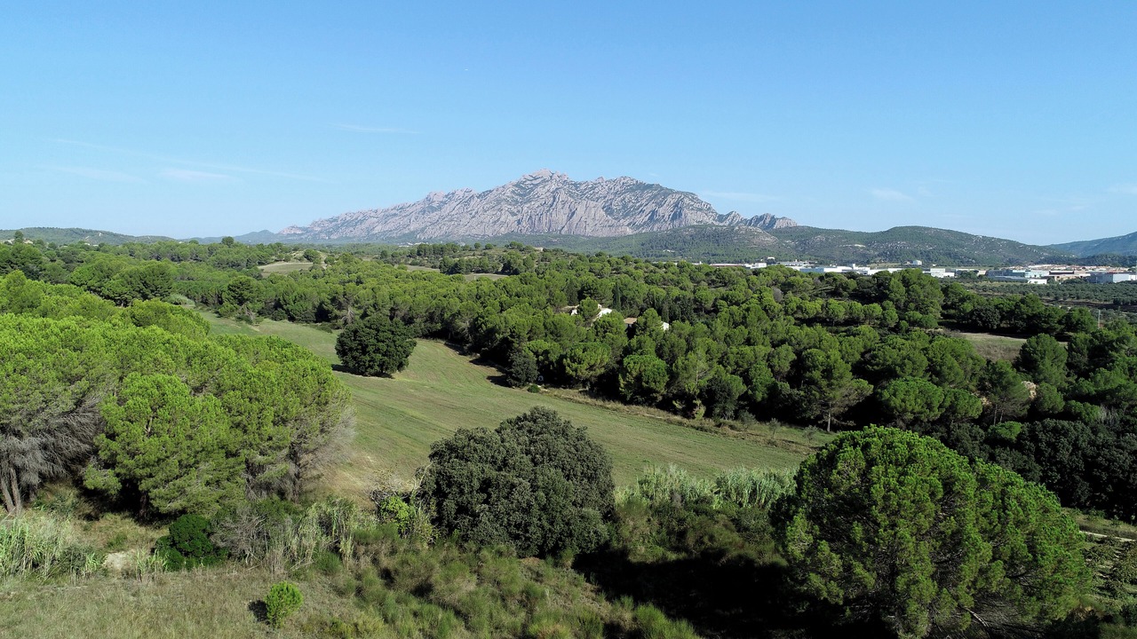 Photo of Outdoor in Subirats