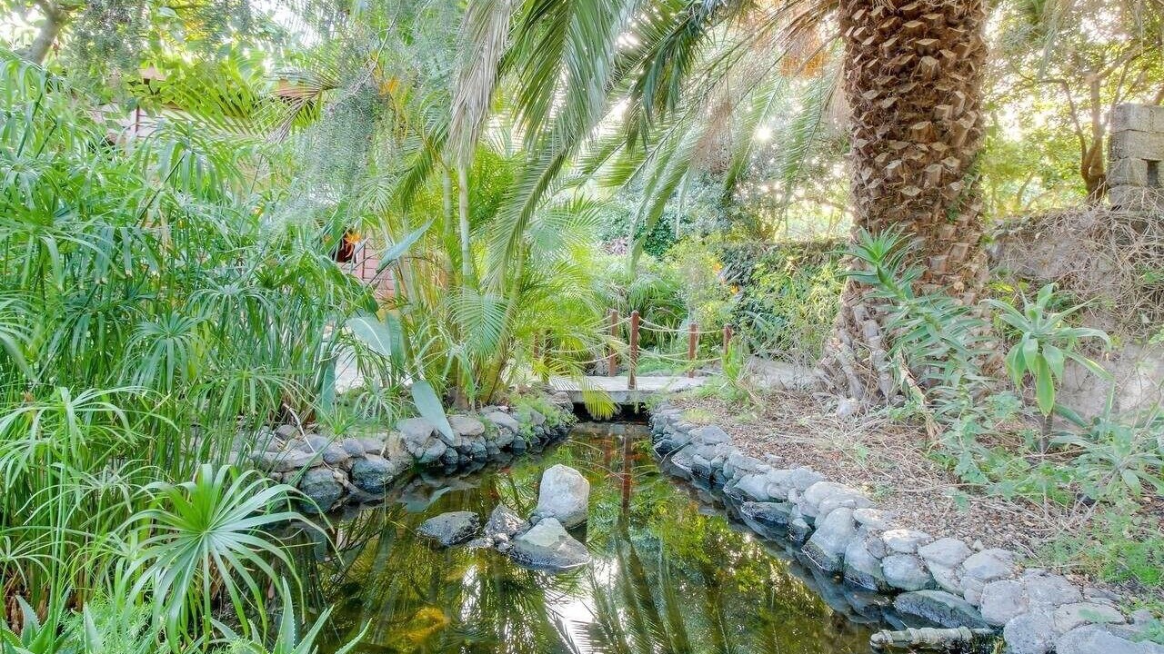 Photo of Outdoor in Arafo