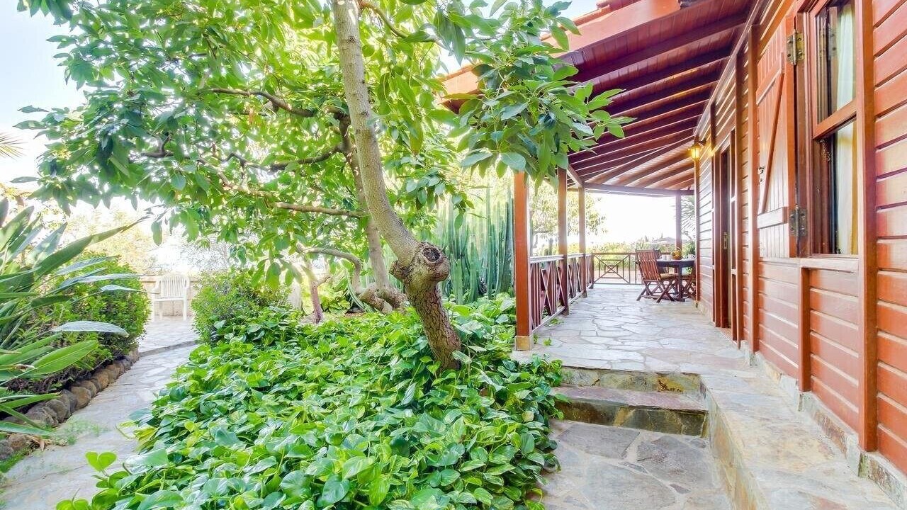Photo of Patio Balcony in Arafo