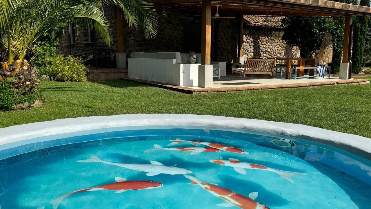 Photo of Outdoor in Candeleda
