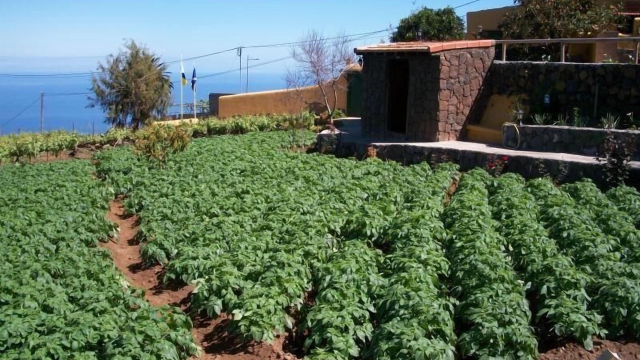 Photo of Outdoor in Montijos