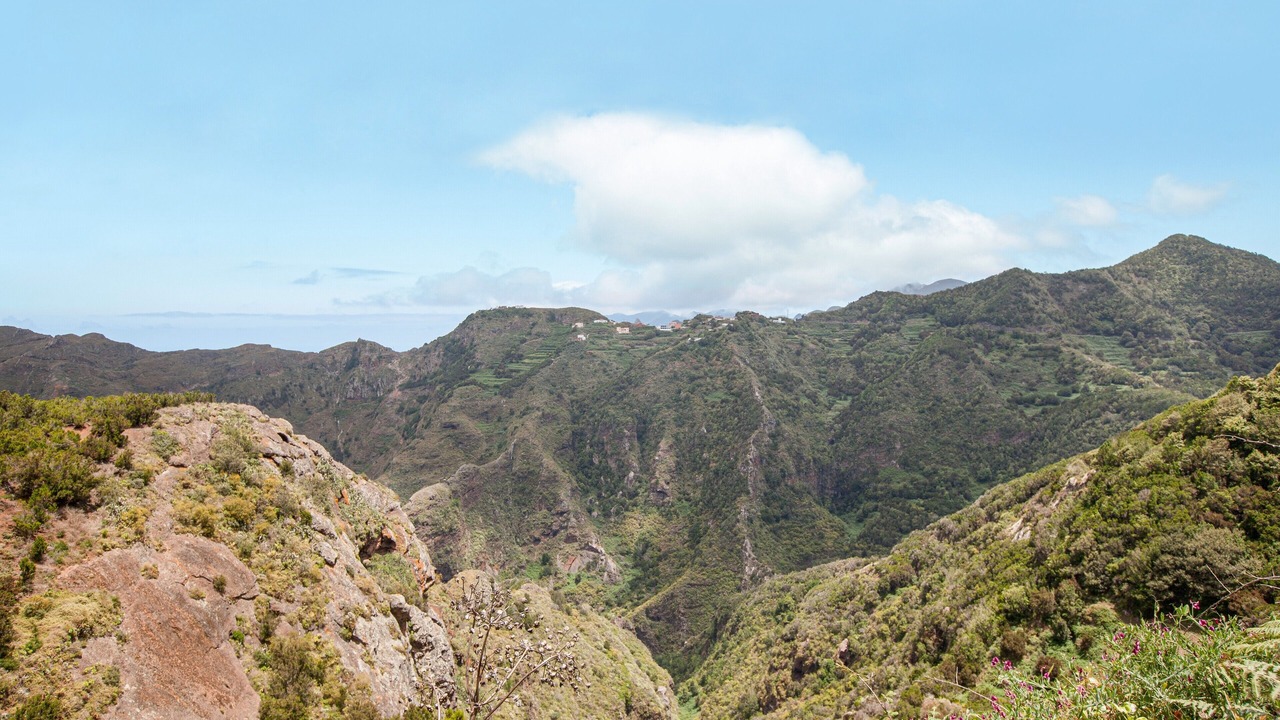 Photo of Others in San Cristobal de La Laguna