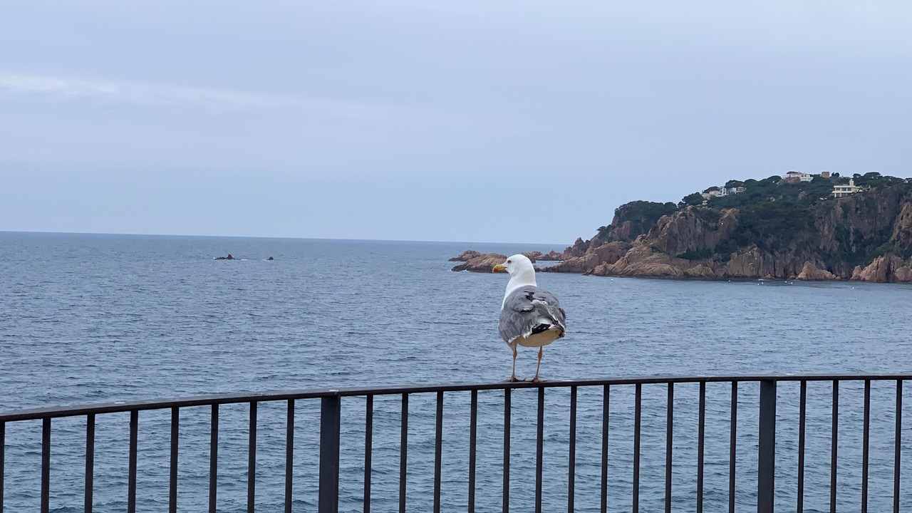 Photo of Patio Balcony in Platja d'Aro