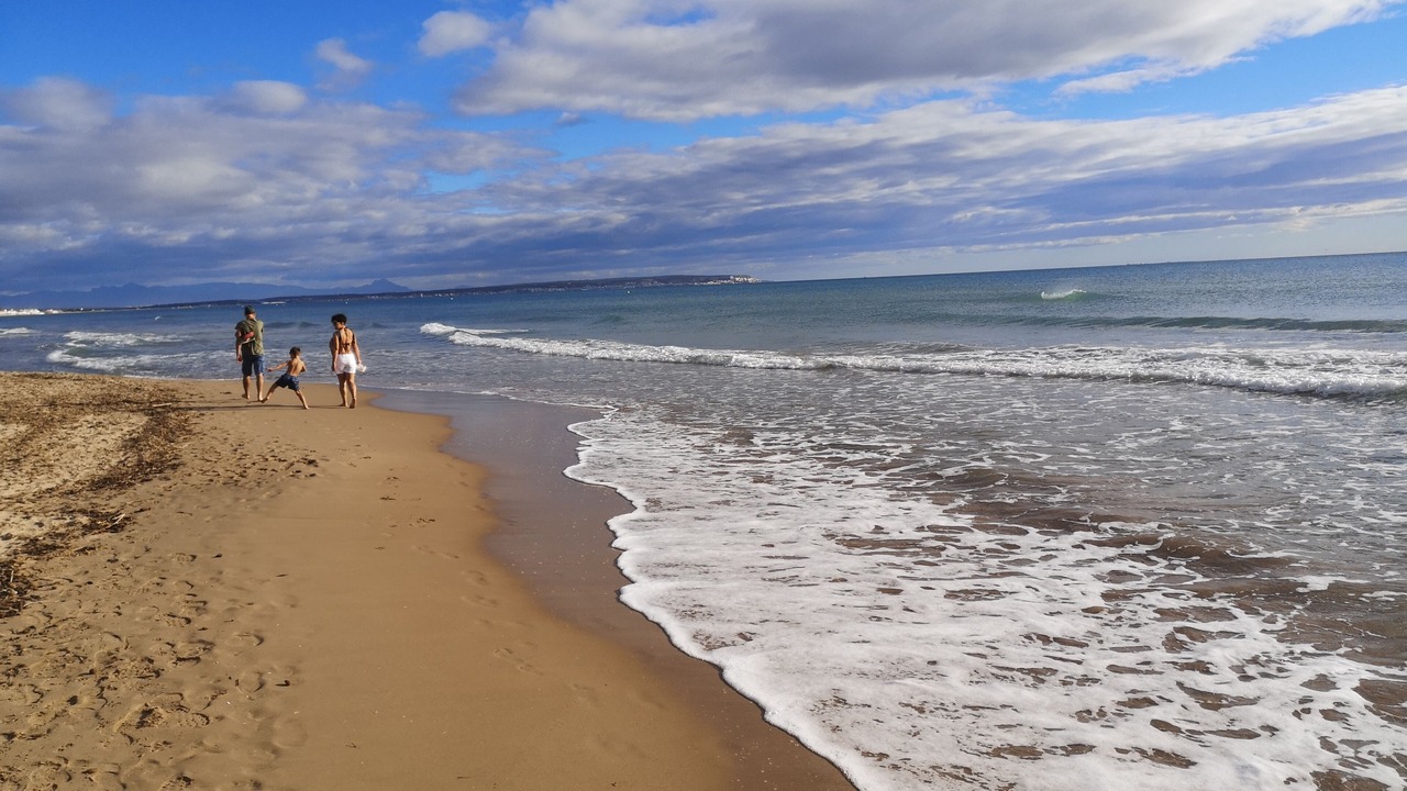 Photo of Others in Orihuela Costa