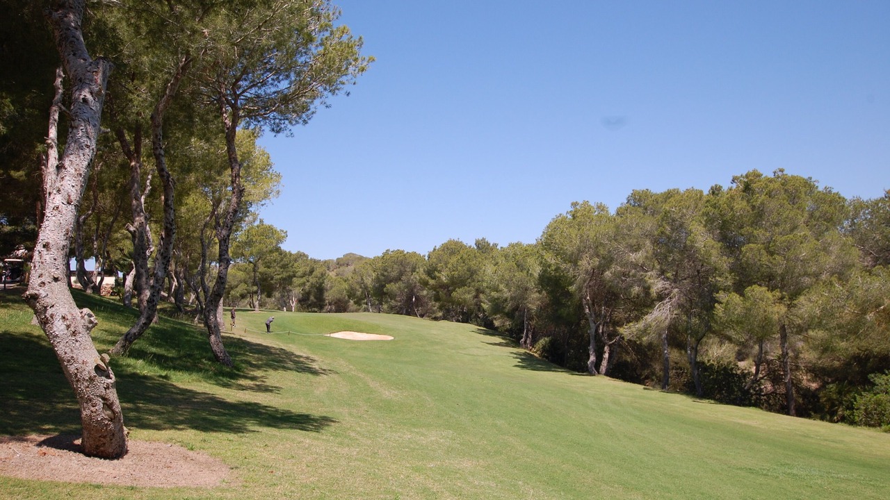Photo of Others in Orihuela Costa