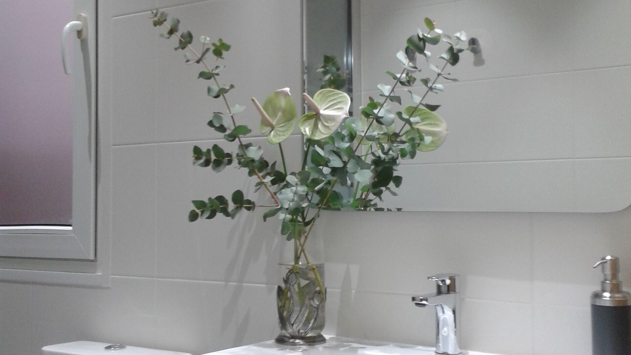 Photo of Bathroom in Eixample