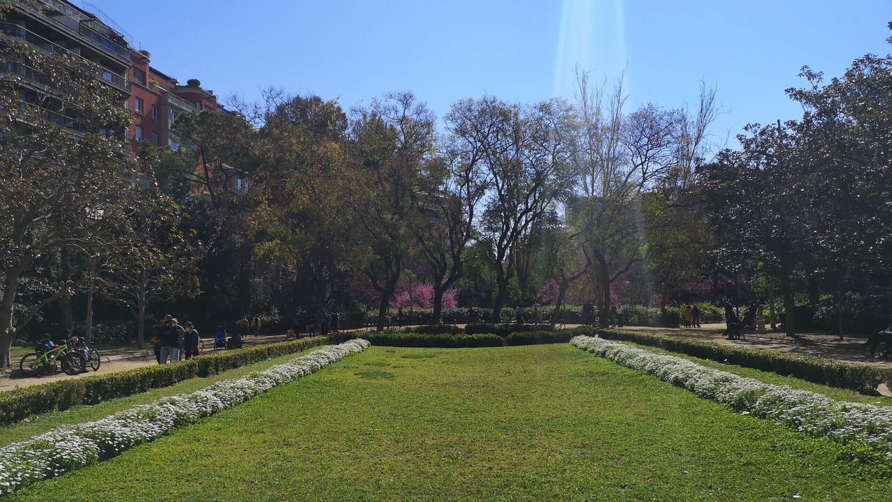 Photo of Others in Sant Gervasi