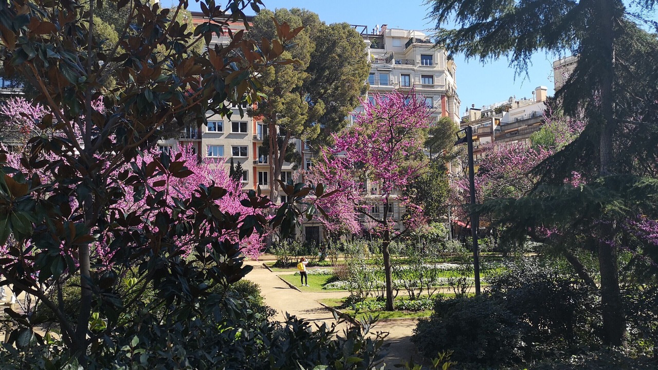 Photo of Others in Sant Gervasi