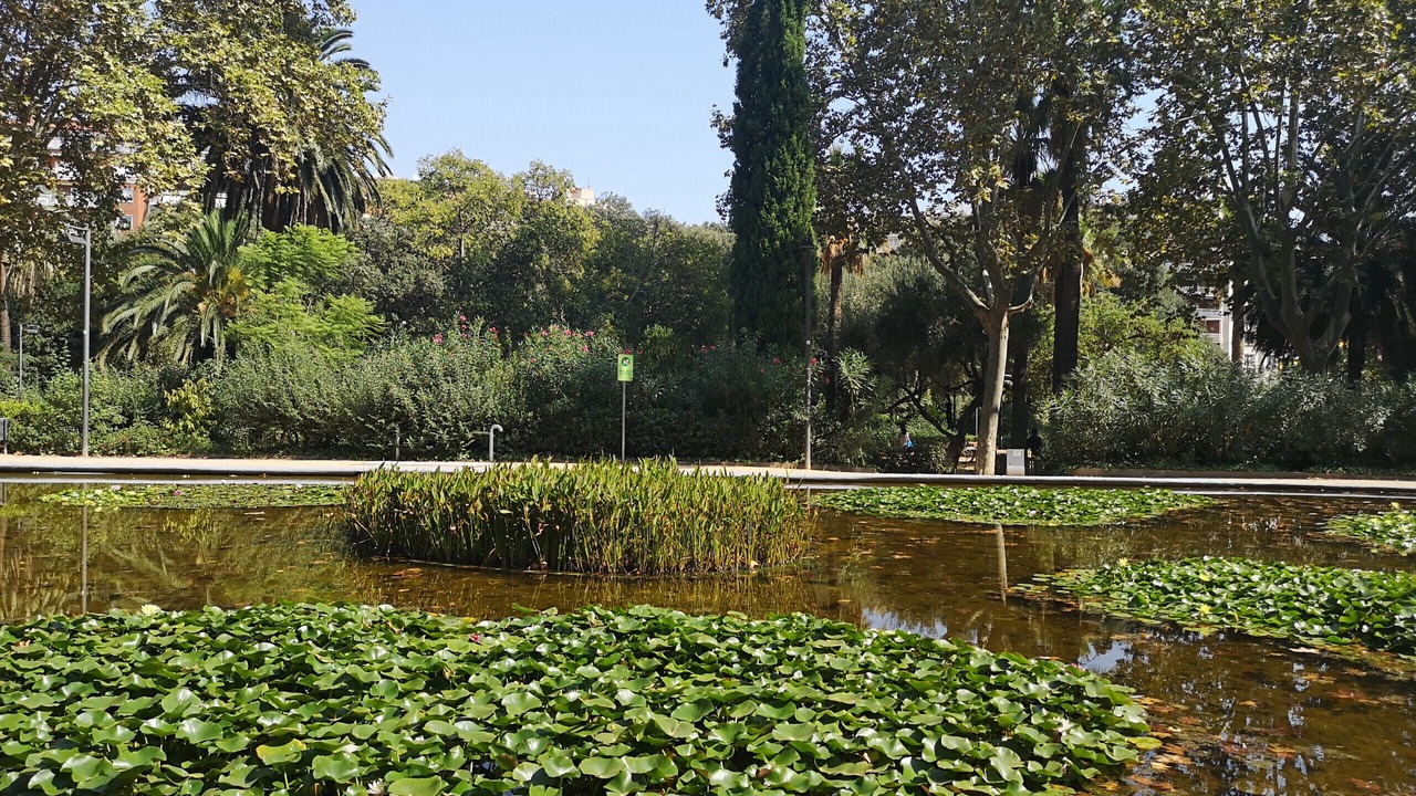 Photo of Outdoor in Sant Gervasi