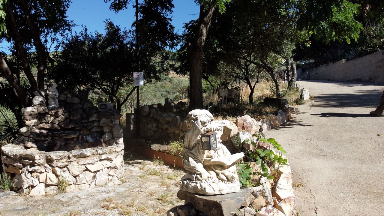 Photo of Outdoor in Guadalupe