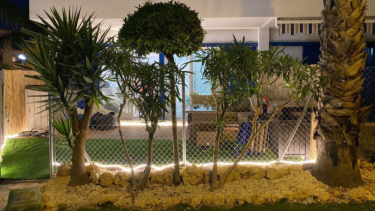 Photo of Outdoor in Flamenca Beach