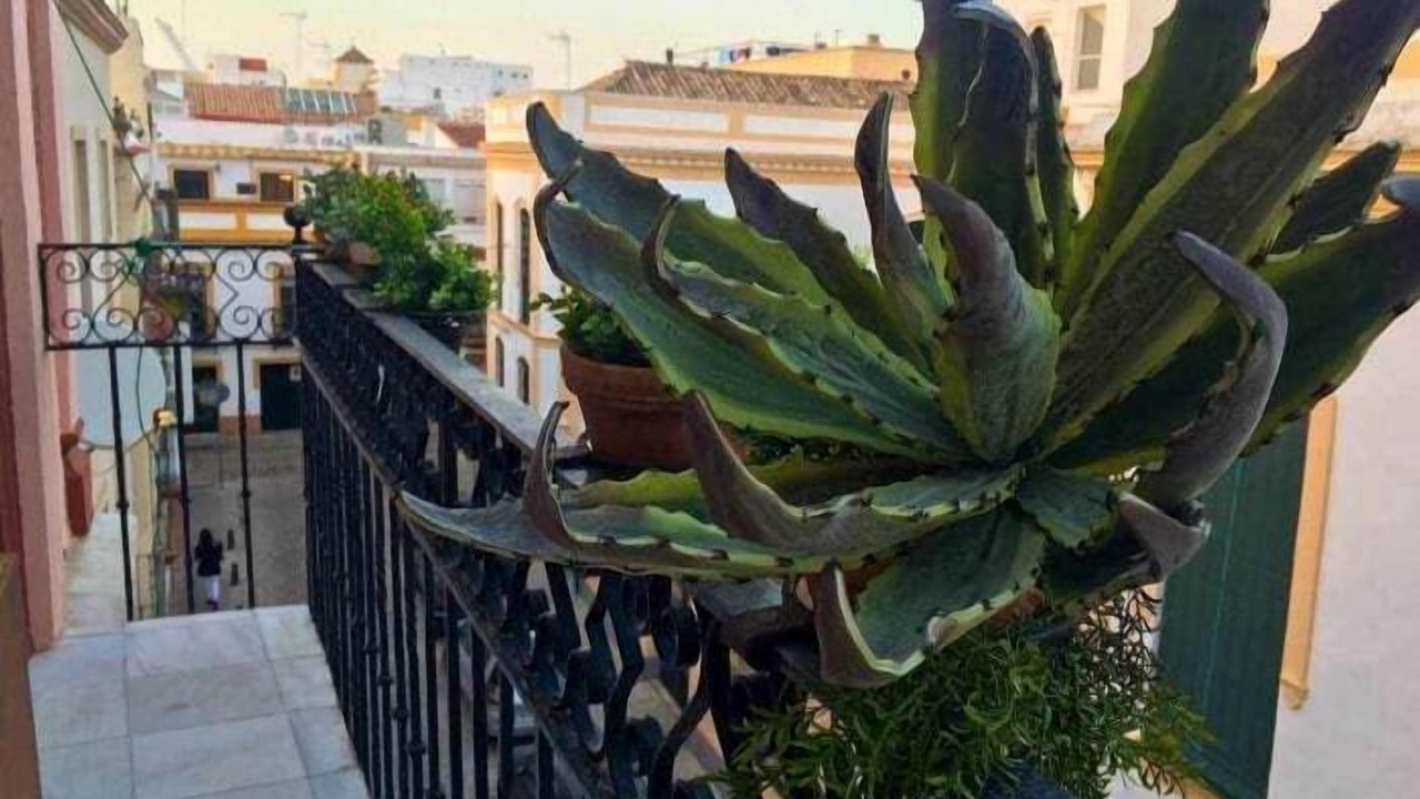 Photo of Outdoor in San Gil